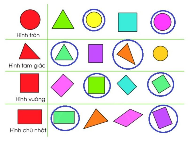 Bài tập tìm và khoanh tròn vào các hình khối có hình dạng giống nhau. 
