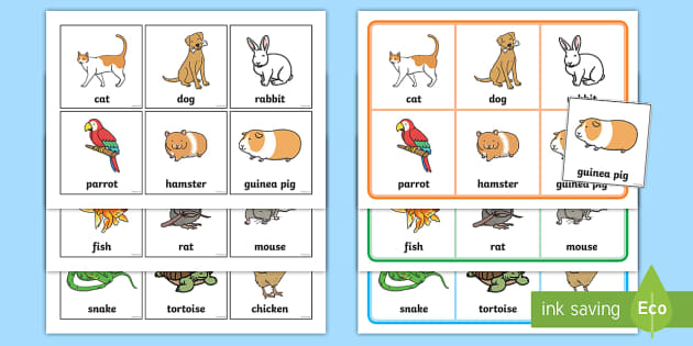 Pet Bingo