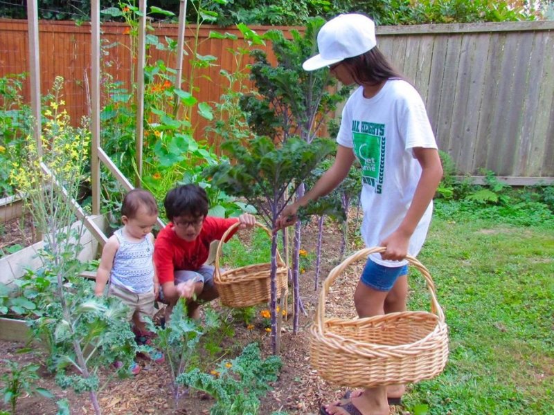 Chăm sóc, trồng cây là một trong những cách hiệu quả nhất để rèn luyện kỹ năng sống bảo vệ cây xanh cho trẻ