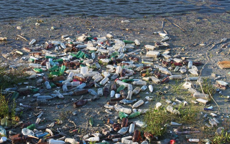 Tình trạng vứt rác thải nhựa xuống sông tại Việt Nam