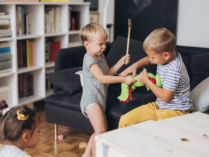 Làm gì khi con hay đánh bạn? 6 cách giáo dục con trẻ cho cha mẹ hiện đại 2 Nguyên nhân trẻ em đánh nhau thường bắt nguồn từ những việc nhỏ nhặt như tranh giành đồ chơi